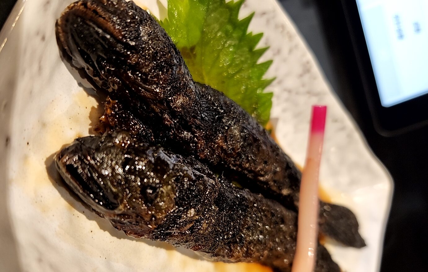 蔵（佐賀県佐賀市）…有明海の珍味と佐賀の銘酒が最高にマッチング